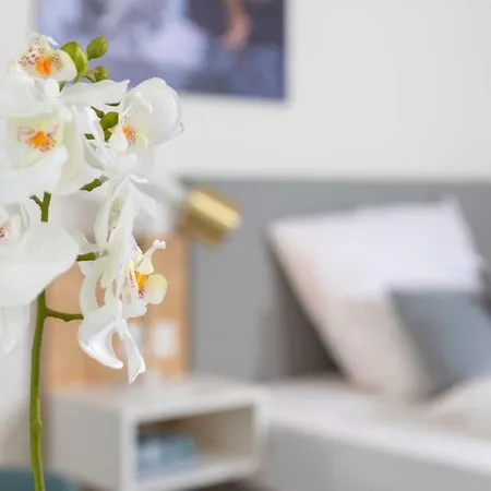 Appartement Nino-boardinghouse 21 - A46411 Nordhorn
